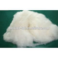 dehaired cashmere fiber,100% cashmere fiber